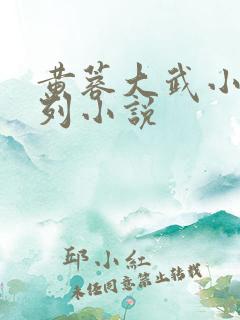 黄蓉大武小武系列小说