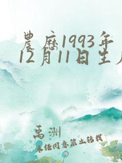 农历1993年12月11日生辰八字