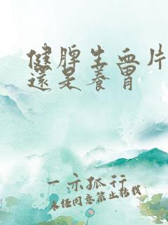 健脾生血片伤胃还是养胃
