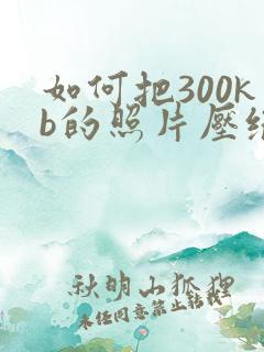 如何把300kb的照片压缩成100kb以内 如何把300kb的照片压缩成100kb以内