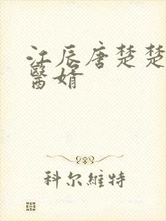 江辰唐楚楚龙王医婿