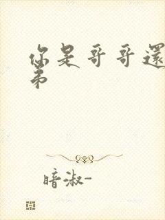 你是哥哥还是弟弟