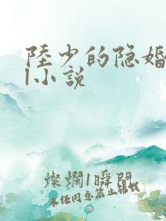 陆少的隐婚罪妻l小说