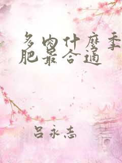 多肉什么季节施肥最合适