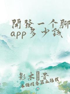 开发一个聊天的app多少钱