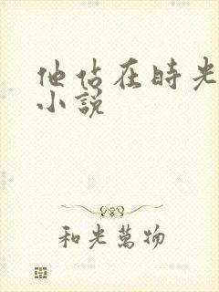 他站在时光深处小说