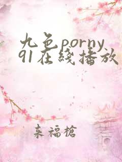 九色porny91在线播放