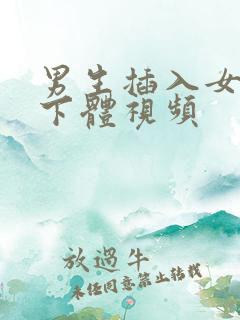 男生插入女生的下体视频