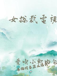 女总裁电视剧