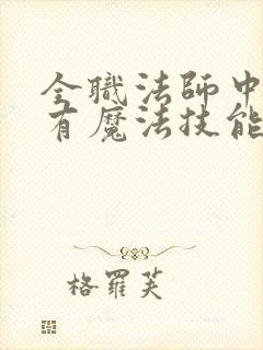 全职法师中的所有魔法技能
