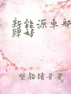 新能源车哪个品牌好