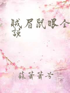 贼眉鼠眼全部小说