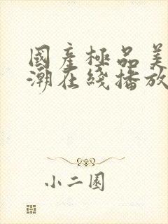 国产极品美女高潮在线播放网站