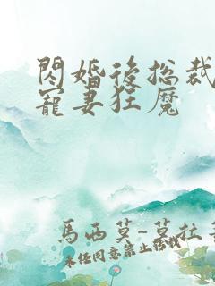 闪婚后总裁成了宠妻狂魔