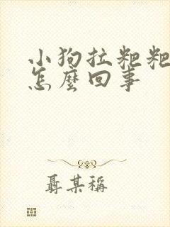 小狗拉粑粑有血怎么回事
