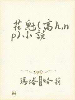 花魁(高h,np)小说 花魁(高h,np)小说