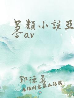 另类小说亚洲综合av