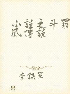 小说之斗罗之龙凰传说
