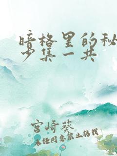 暗格里的秘密多少集一共