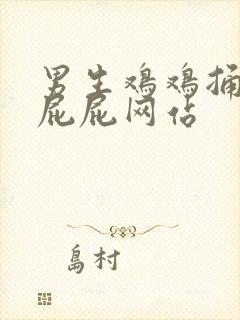 男生鸡鸡捅女生屁屁网站