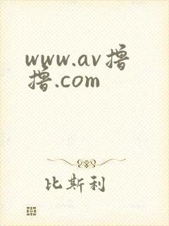 www.av撸撸.com