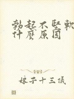 勃起不坚软得快什么原因 勃起不坚软得快什么原因