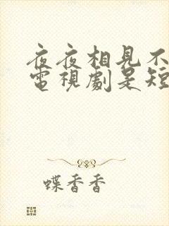 夜夜相见不识君电视剧是短剧吗
