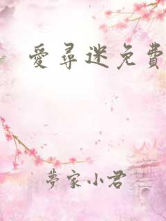 爱寻迷免费电影