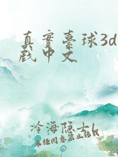 真实台球3d游戏中文