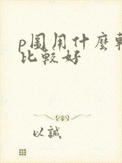 p图用什么软件比较好