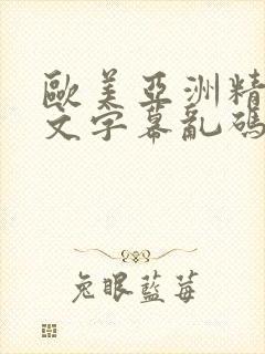 欧美亚洲精品中文字幕乱码免费高清