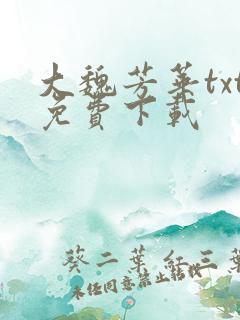 大魏芳华txt免费下载