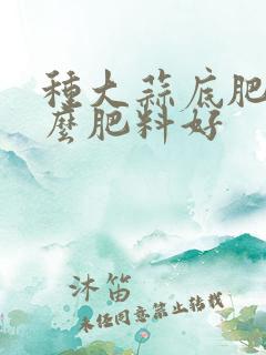 种大蒜底肥用什么肥料好