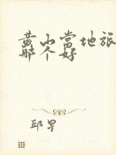 黄山当地旅游团哪个好