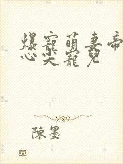 爆宠萌妻帝少的心尖宠儿