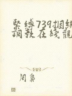 紧缚739捆绑调教在线观看