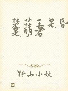 楚庄王是昏君还是明君
