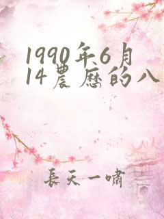 1990年6月14农历的八字