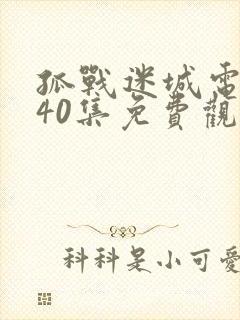 孤战迷城电视剧40集免费观看2024 孤战迷城电视剧40集免费观看2024