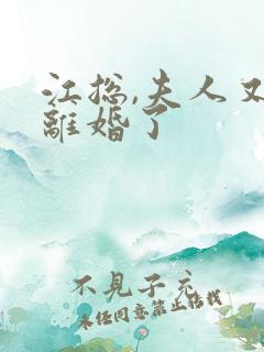 江总,夫人又闹离婚了