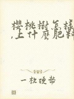 樱桃树怎样施肥,上什么肥料