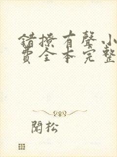 错撩有声小说免费全本完整版