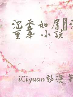 沉香如屑·沉香重华 小说