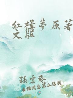 红楼梦原著白话文版