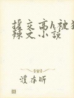 援交高h被狂c辣文小说