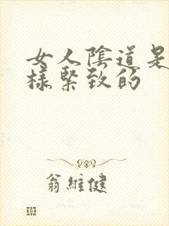 女人阴道是怎么样紧致的