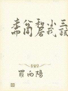 老公和小三在外面同居我该怎么办