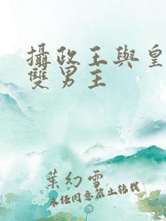 摄政王与皇上的双男主