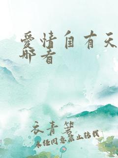 爱情自有天意在哪看