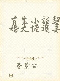 有生小说契约闪婚大佬追妻不择手段
